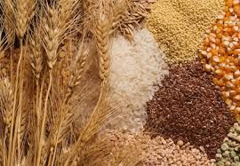Ungheria: procedimento europeo contro le restrizioni all'export dei cereali - News | Confagricoltura Ungheria: procedimento europeo contro le restrizioni all'export dei cereali - News | Confagricoltura