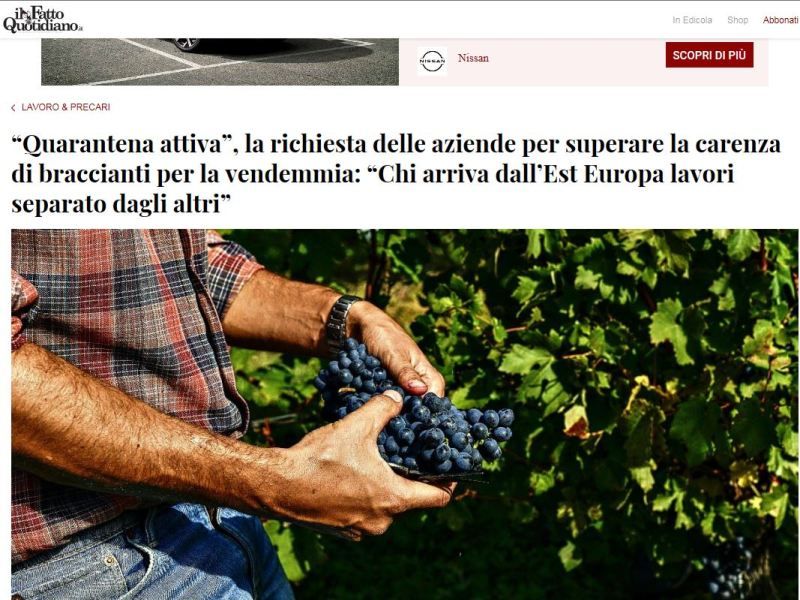 “Quarantena attiva”, la richiesta delle aziende per superare carenza di braccianti per la vendemmia. Confagricoltura interviene a ilfattoquotidiano.it - Dicono di noi | Confederazione Generale dell'Agricoltura Italiana “Quarantena attiva”, la richiesta delle aziende per superare carenza di braccianti per la vendemmia. Confagricoltura interviene a ilfattoquotidiano.it - Dicono di noi | Confederazione Generale dell'Agricoltura Italiana