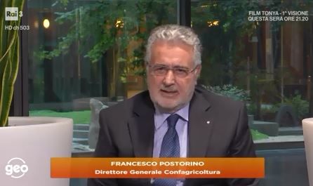 Agricoltura sociale: Francesco Postorino a GEO&geo - Dicono di noi | Confederazione Generale dell'Agricoltura Italiana Agricoltura sociale: Francesco Postorino a GEO&geo - Dicono di noi | Confederazione Generale dell'Agricoltura Italiana