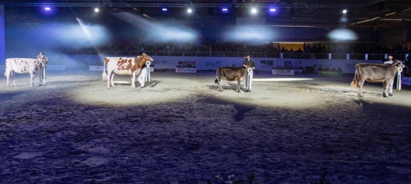 Cremona guarda al futuro - News | Confagricoltura Cremona guarda al futuro - News | Confagricoltura