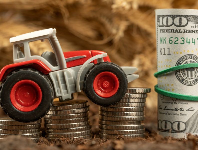 Aiuti di Stato: Proroga a fine 2024, ma con il ritorno del Patto di Stabilità si ripropongono per gli Stati membri anche le differenze in termini di capacità di spesa | Confederazione Generale dell'Agricoltura Italiana Aiuti di Stato: Proroga a fine 2024, ma con il ritorno del Patto di Stabilità si ripropongono per gli Stati membri anche le differenze in termini di capacità di spesa | Confederazione Generale dell'Agricoltura Italiana