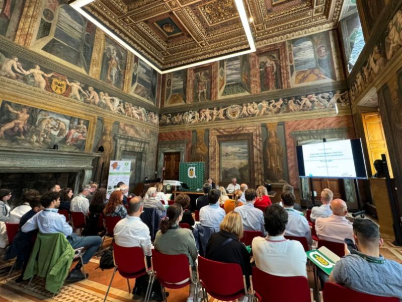 Assemblea annuale Agronetwork: approvati i temi strategici - Agronetwork | Confederazione Generale dell'Agricoltura Italiana Assemblea annuale Agronetwork: approvati i temi strategici - Agronetwork | Confederazione Generale dell'Agricoltura Italiana